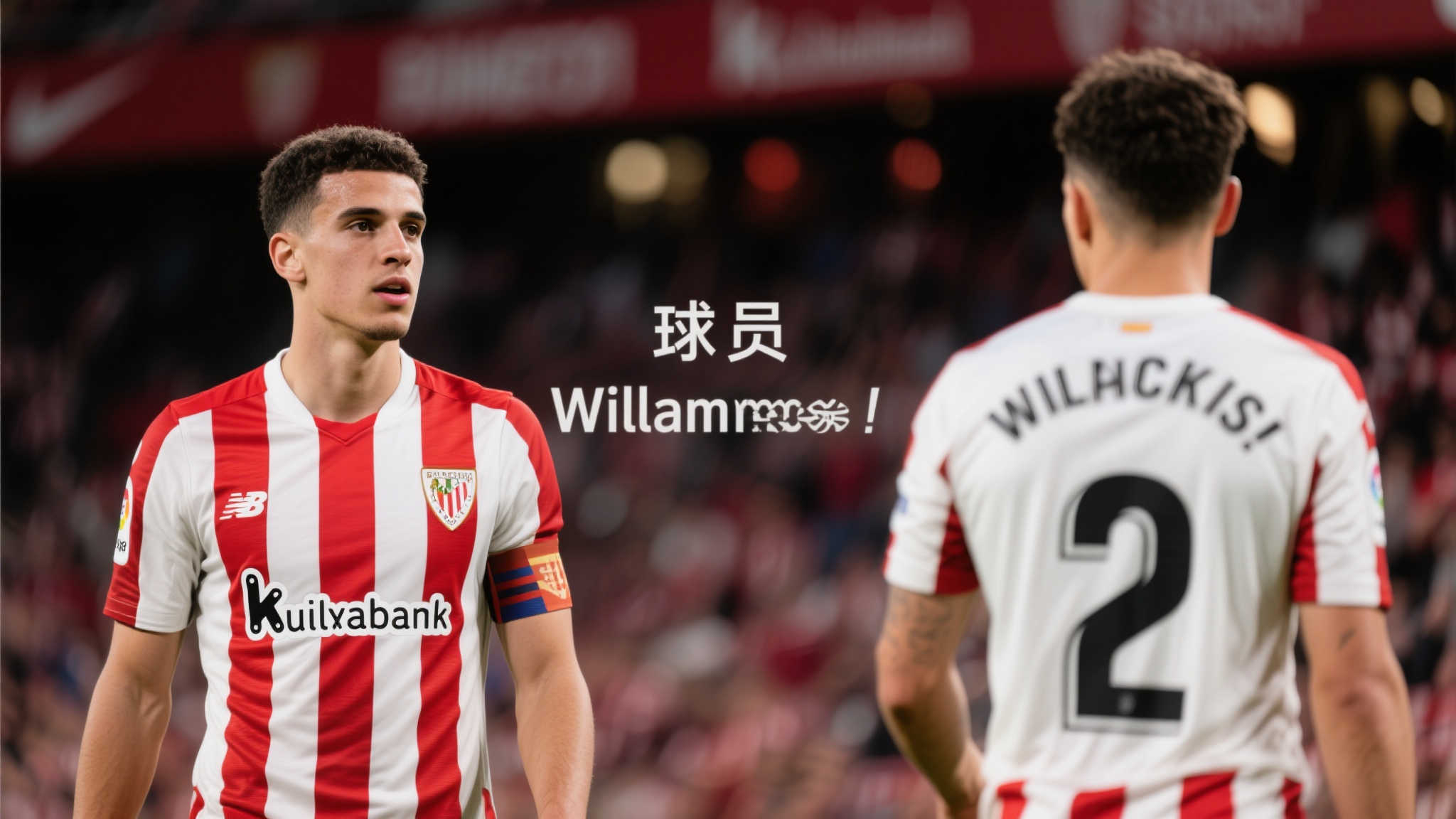 华体会体育简介